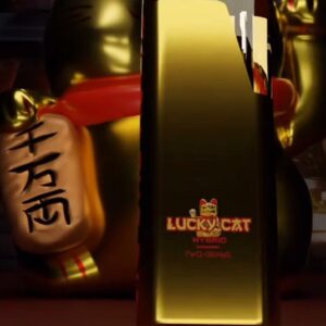 blnkrz lucky cat