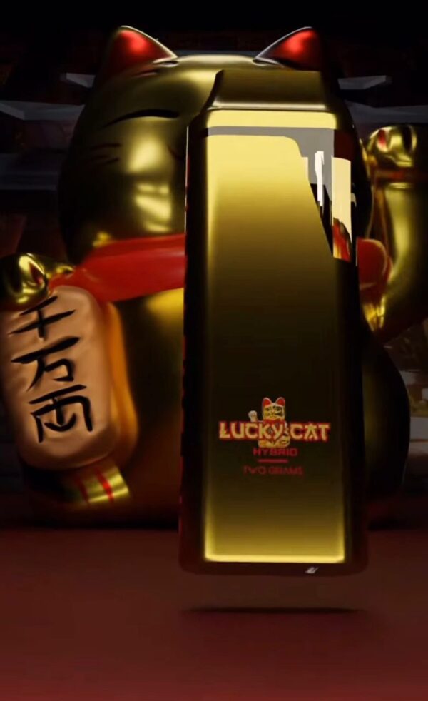 blnkrz lucky cat
